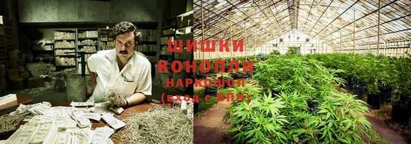 гидропоника Лиски