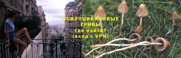 MESCALINE Лихославль
